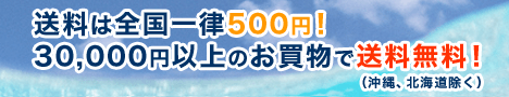 ���������Χ500�ߡ�